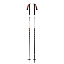 Black Diamond Expedition 2 Ski Poles