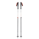 Black Diamond Expedition 2 Ski Poles