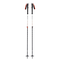 Black Diamond Expedition 2 Ski Poles