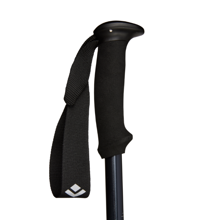 Black Diamond Explorer 2 Trekking Poles Ink Blue