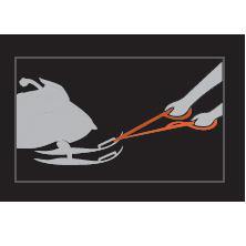 Mountain Lab Snowmobile Ski Pull Strap - Avalanche Safety Solutions